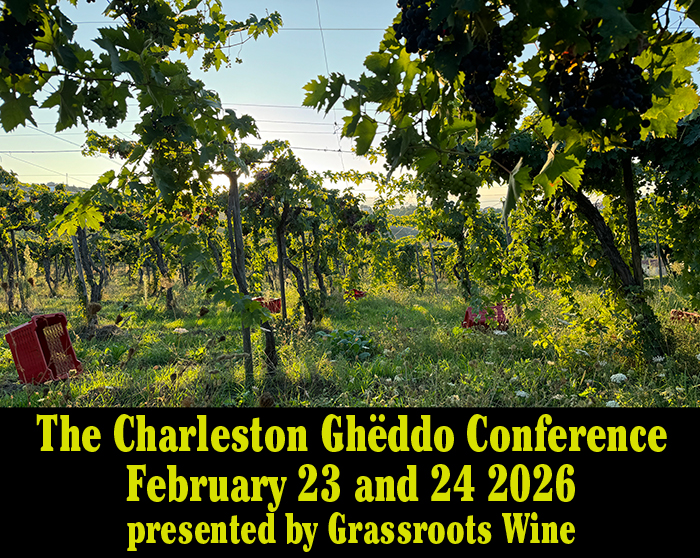 pergolas in Branella at Emidio Pepe